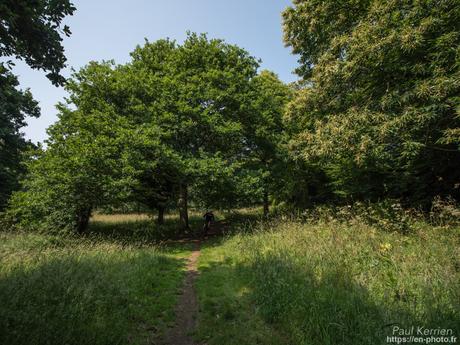 au Menez-Hom #montagne #Bretagne #Finistère