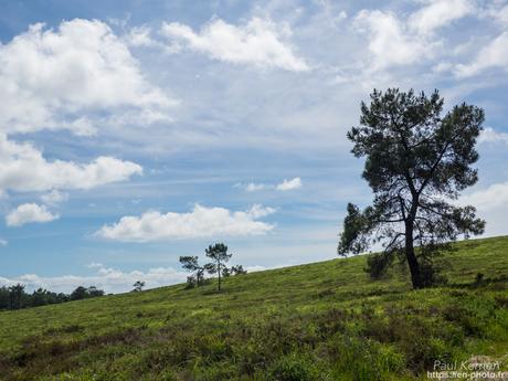 au Menez-Hom #montagne #Bretagne #Finistère