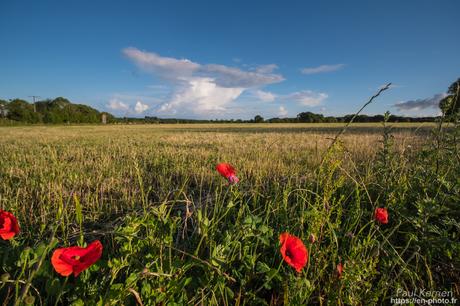 au Menez-Hom #montagne #Bretagne #Finistère au Menez-Hom #montagne #Bretagne #Finistère