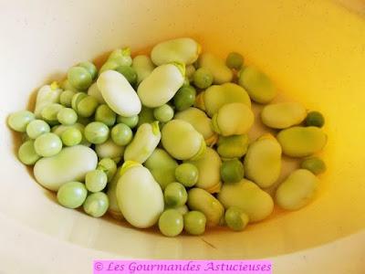 Tarte fine aux légumes de printemps (Vegan) Tarte fine aux légumes de printemps (Vegan)