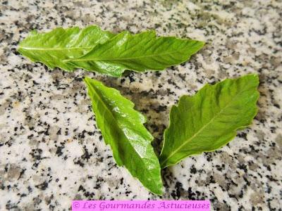 Tarte fine aux légumes de printemps (Vegan) Tarte fine aux légumes de printemps (Vegan)