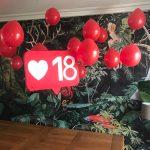 decoration pour anniversaire 18 ans fille