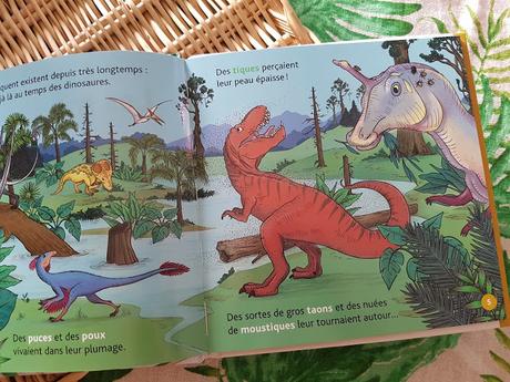 Mes P'tits docs - Les moustiques