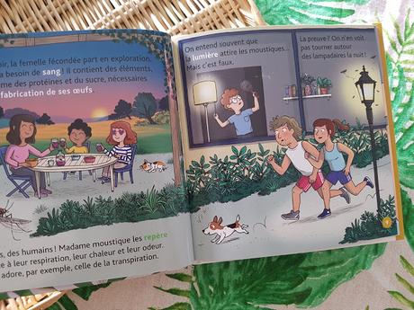 Mes P'tits docs - Les moustiques
