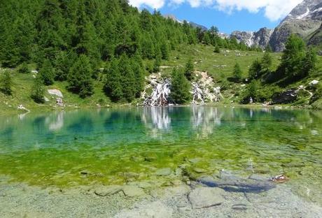 adresse cash piscine adresse cash piscine