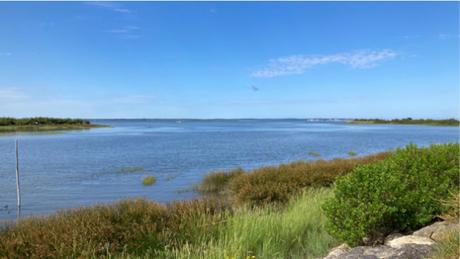 Certes : des paysages