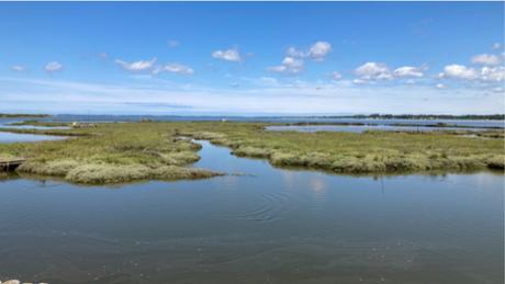 Certes : des paysages