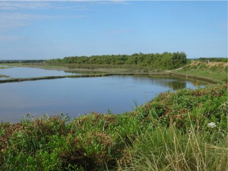 Certes : des paysages