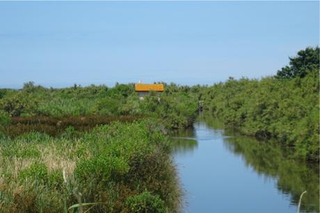 Certes : des paysages