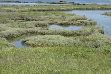 Certes : des paysages