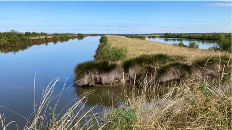 Certes : des paysages