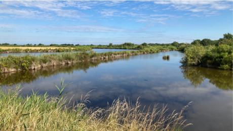 Certes : des paysages