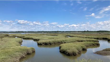 Certes : des paysages