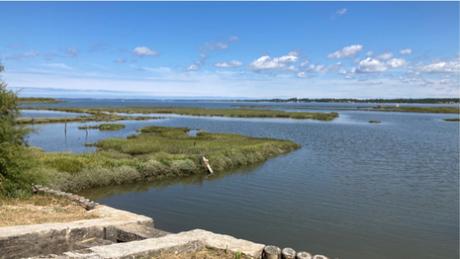 Certes : des paysages