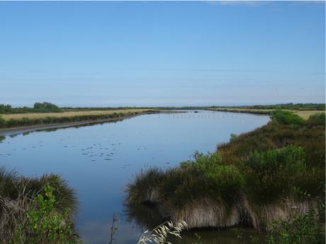 Certes : des paysages