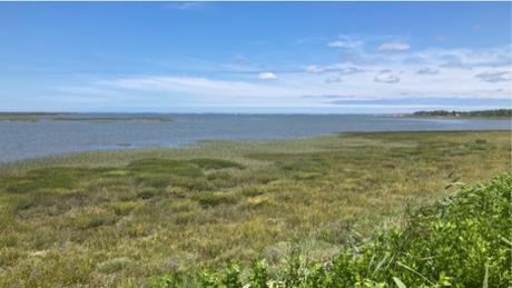 Certes : des paysages