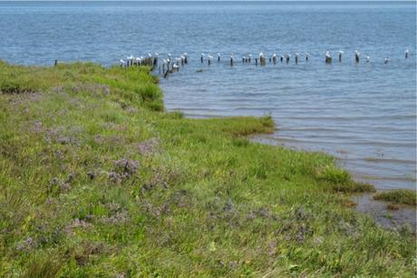 Certes : des paysages