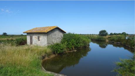 Certes : des paysages