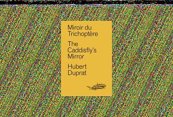 Note de lecture) Hubert Duprat, Miroir du trichoptère, par Jacques Demarcq  - Paperblog