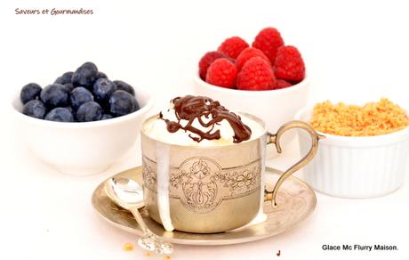 Mc Flurry Maison (glace sans sorbetière) Mc Flurry Maison (glace sans sorbetière)