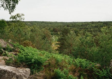 Fontainebleau :  Les Gorges d’Apremont