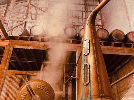 Info bière – 700 tonneaux de bière artisanale pandémique transformés en whisky à Victoria, avec des résultats surprenants pour les distillateurs
 – Malt