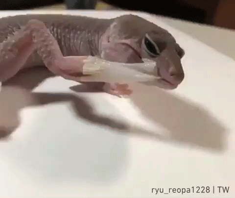 Pas certain que ce soit le protocole le plus hygiénique en période de pandémie...