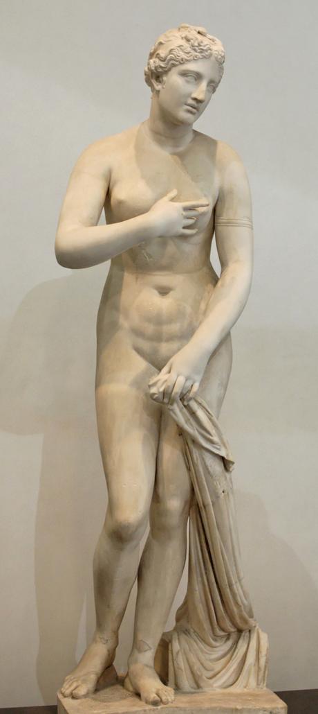 Vénus : la féminine céleste Vénus : la féminine céleste