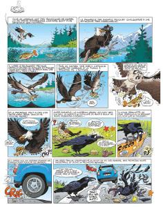 Les oiseaux en bande dessinée #1 • Jean-Luc Garréra et Alain Sirvent