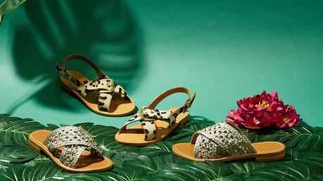 Découvrez la collection été Couleur Pourpre à petits prix Découvrez la collection été Couleur Pourpre à petits prix