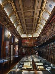 Une journée à Chantilly