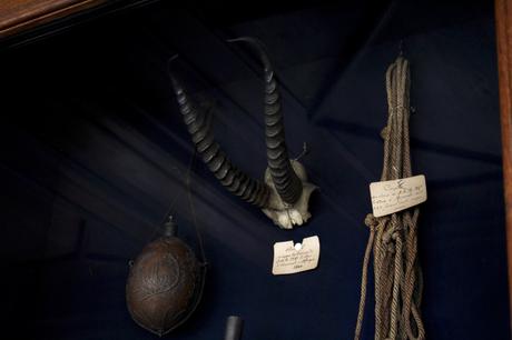 Une journée à Chantilly