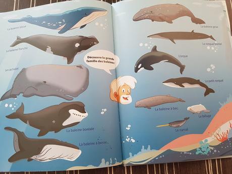 CAPTAIN PAUL Tome 1 Le sanctuaire des baleines de Gropapa - Illustré par Mickael Brunet