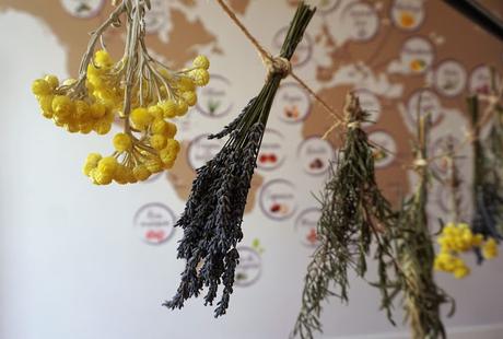 Inauguration de la boutique Aroma-Zone Aix boutique Aroma-Zone Aix