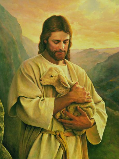 6 Mois de Pandémie, 7 Mois de Déni