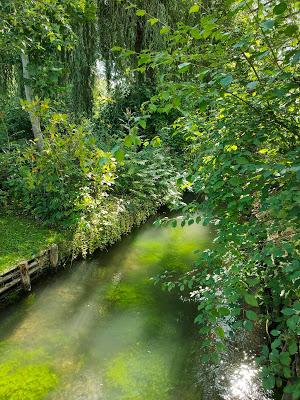 Le jardin de Monet à Giverny : entrer dans un tableau