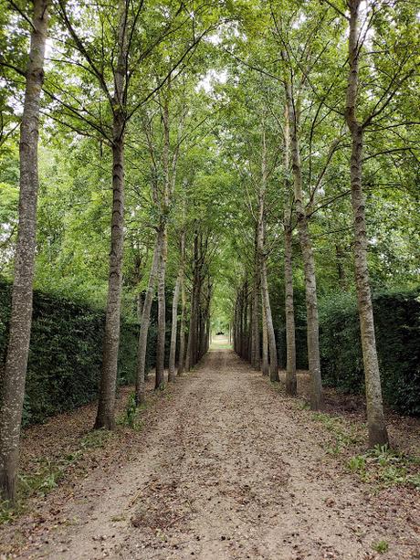Promenade dans les jardins de Versailles, désert royal