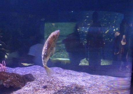 Qui découvre l’autre ?