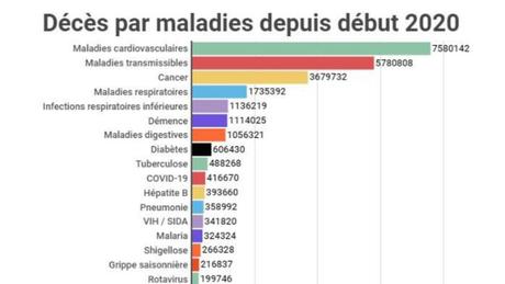 La Covid-19 est très loin des actuels grands fléaux de l'humanité. En revanche c'est certainement celle qui a coûté le plus cher