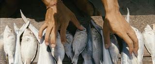 Une barque sur l'océan, un film de Arnold de Parscau