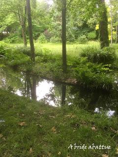 Réouverture des Jardins d'Albert Kahn