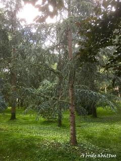 Réouverture des Jardins d'Albert Kahn