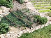 Solution problème épineux