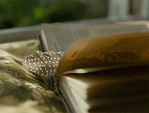 Reading Book GIF - Reading Book BookLover GIFs