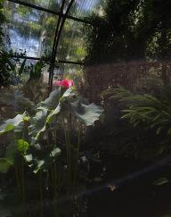 Un après-midi à Chaumont-sur-Loire