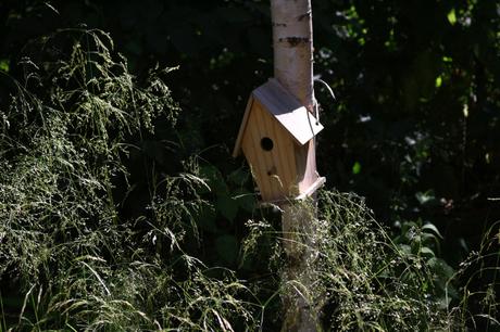Un après-midi à Chaumont-sur-Loire