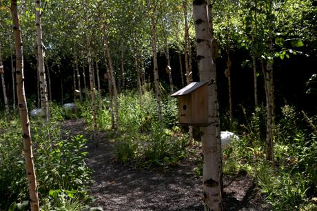 Un après-midi à Chaumont-sur-Loire