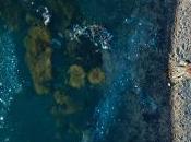 Julianna Barwick Healing Miracle