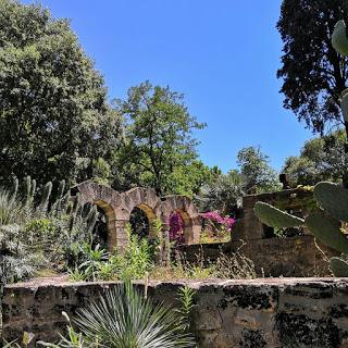 [VOYAGE #4]Les incontournables de Montpellier