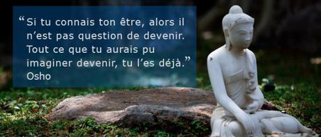 Le Méditant Amoureux Le Méditant Amoureux